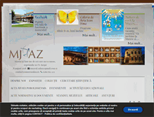 Tablet Screenshot of muzeuzalau.ro
